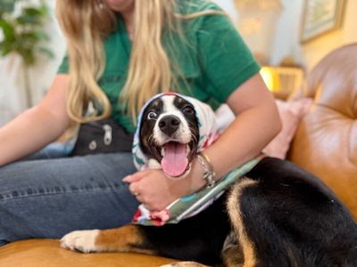Cheerio the bestest boy thumbnail 10