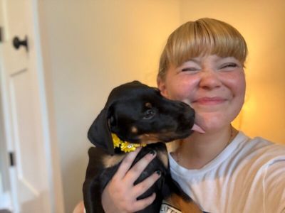 Cindy Brady Bunch thumbnail 2