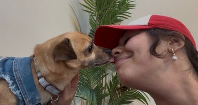 Honeybear the Happiest Little Shadow thumbnail 2