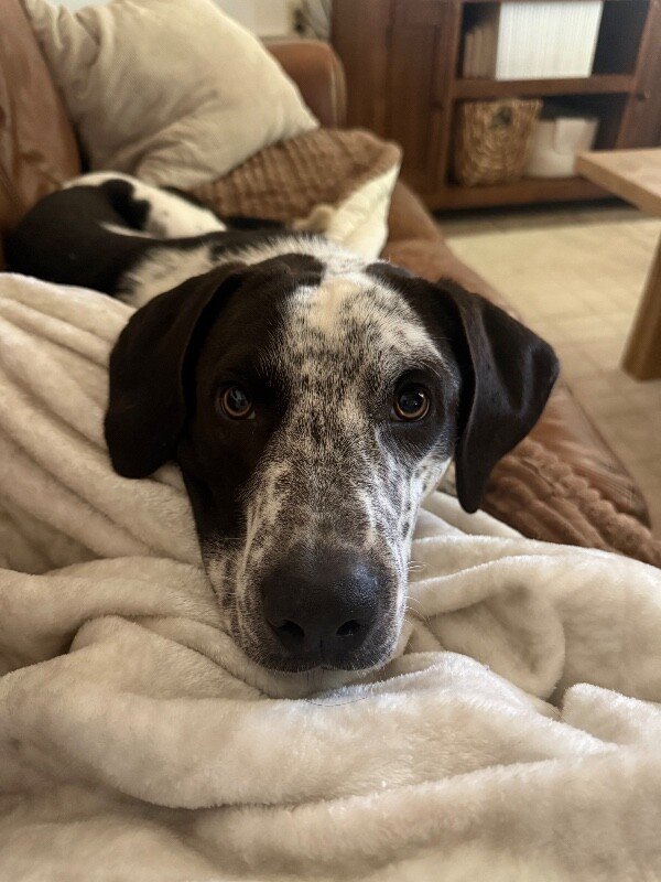 John Deere - Photo 1