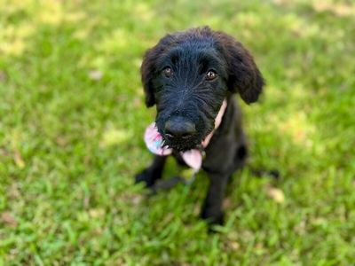 Lucy Lou Sprout thumbnail 10