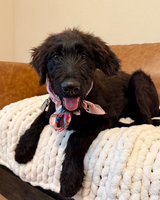 Lucy Lou Sprout - Photo 1