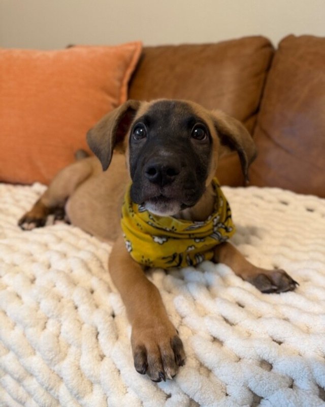 Koda Gallegos - Photo 1