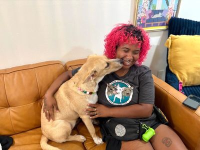 Nala Noodle thumbnail 9