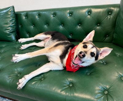 Bubba Wubba Lowrider Cutie thumbnail 3