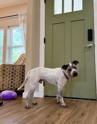Drax Darling the Spotted Kid Loving Sweetie thumbnail 10