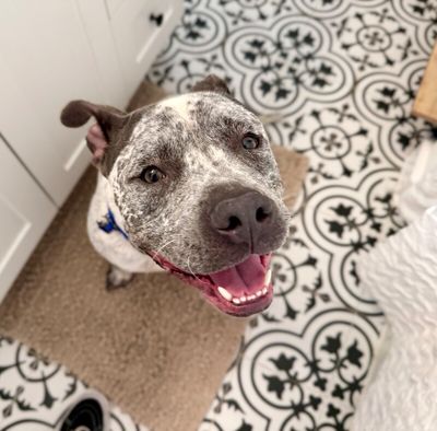 Drax Darling the Spotted Kid Loving Sweetie thumbnail 14