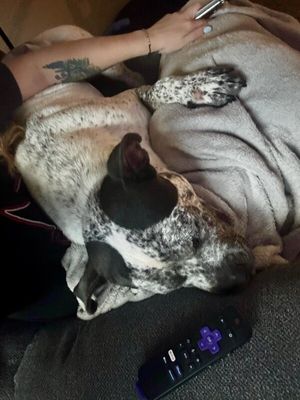 Drax Darling the Spotted Kid Loving Sweetie thumbnail 17
