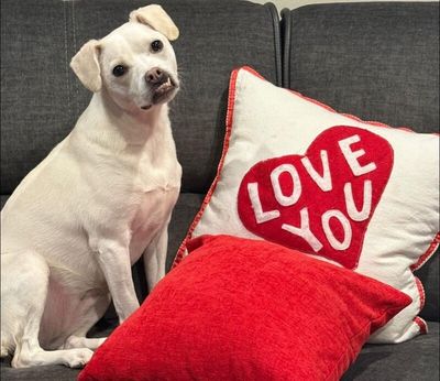 Jojo Jellybean the Sweetest Girl with the Best Smile thumbnail 17