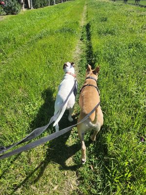 Lucy Love with the Irresistible Snuggles thumbnail 12
