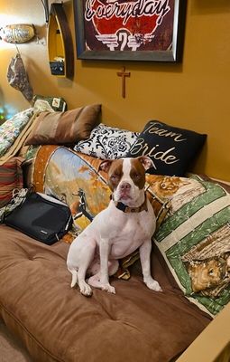 Lucy Love with the Irresistible Snuggles thumbnail 11