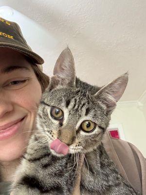June Bug Whiskerpaws thumbnail 17
