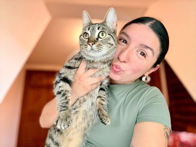 Jaxie Pie thumbnail 2