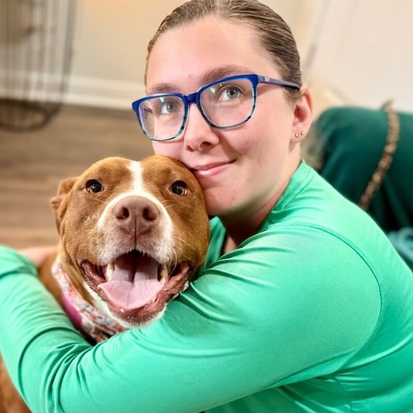 Paisley Love brings connection and affection, a American Pit Bull Terrier dog available for adoption