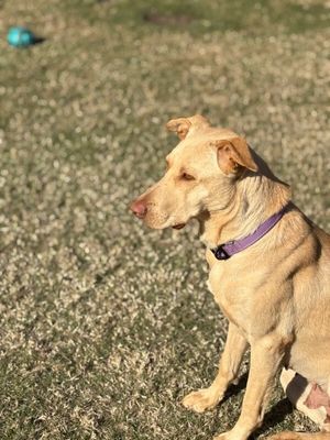 Sadey is Pure Sweetness thumbnail 14