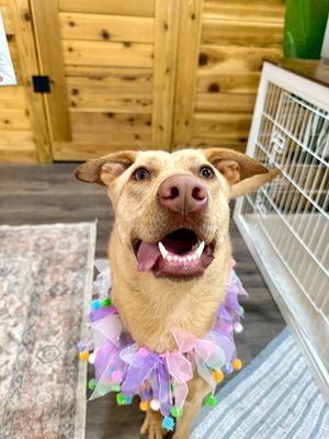 Sadey is Pure Sweetness thumbnail 15