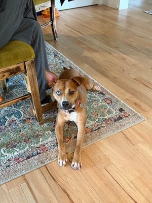 Dottie Sue your Personal Ray of Sunshine thumbnail 15