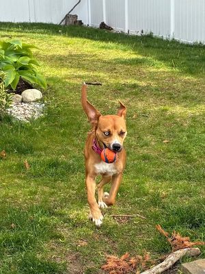 Dottie Sue your Personal Ray of Sunshine thumbnail 17
