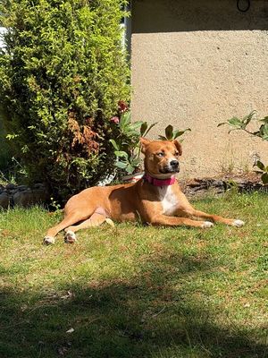 Dottie Sue your Personal Ray of Sunshine thumbnail 18