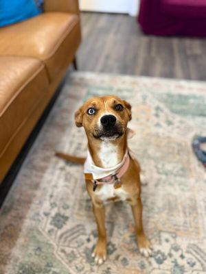 Dottie Sue your Personal Ray of Sunshine thumbnail 9