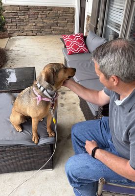 Precious Pippa the Playful Country Princess thumbnail 6