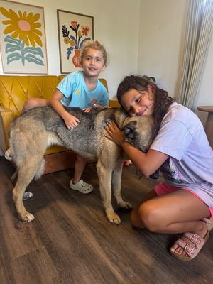 Sweet Potato the Melo Family Dog thumbnail 8
