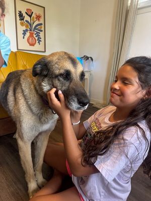 Sweet Potato the Melo Family Dog thumbnail 20