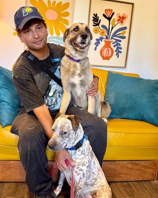 Sweet Potato the Melo Family Dog thumbnail 19
