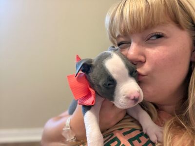 Lulu Bubaloo thumbnail 3