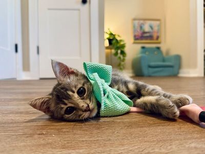 Kip Cozy Heart thumbnail 7