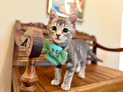 Kip Cozy Heart thumbnail 10