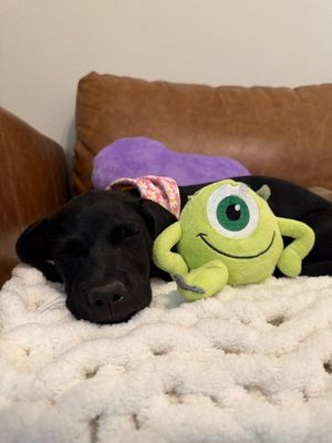 Lilly Loo Cutie Boo thumbnail 2