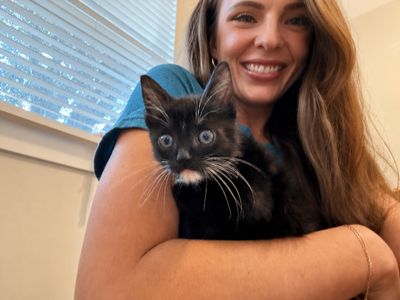 Poe Purrkins Little Lovebug thumbnail 2