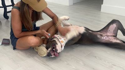 Major Virgil Goofball thumbnail 12