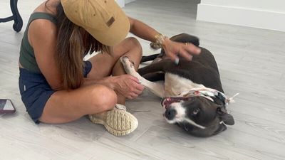 Major Virgil Goofball thumbnail 14