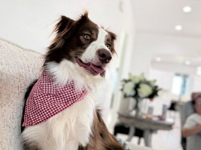 Luna Love Struck thumbnail 10
