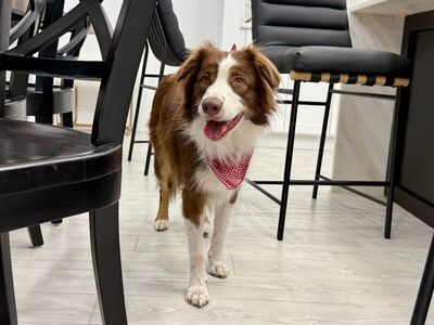 Luna Love Struck thumbnail 9