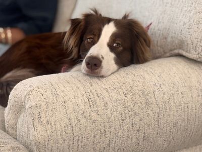 Luna Love Struck thumbnail 7