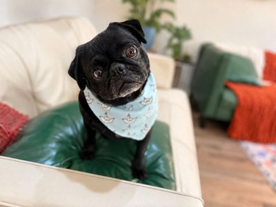 Popeye Potato Pugboat thumbnail 1