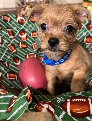 Cracker Jack in a Box thumbnail 9