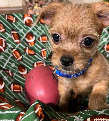 Cracker Jack in a Box thumbnail 11