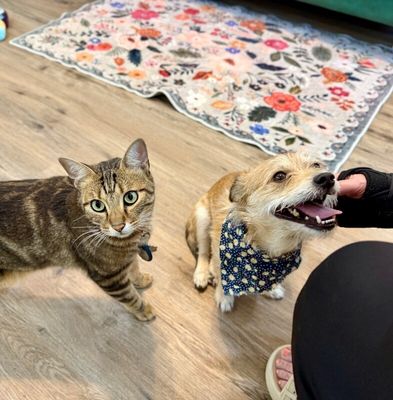 Snuggles Cuddlesworth the Gentle Soul thumbnail 8
