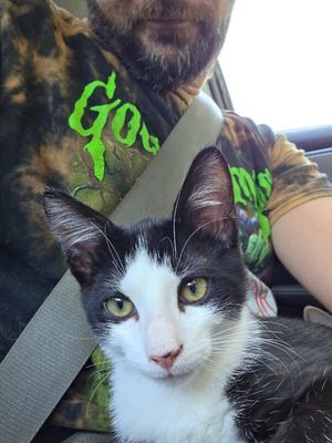 Figaro Ferrell thumbnail 7
