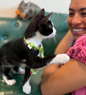 Figaro Ferrell thumbnail 8