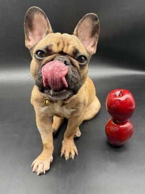 Fiona Apples thumbnail 3