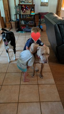 Cooper Courageous thumbnail 10