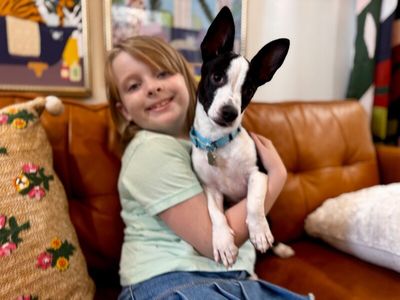 Franco the Family Pup thumbnail 4