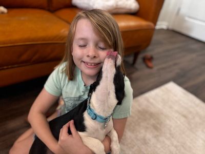 Franco the Family Pup thumbnail 8