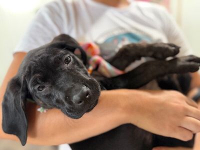 Lily Mae Bay thumbnail 10