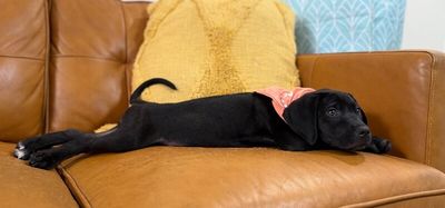 Molly Jane Bay thumbnail 3